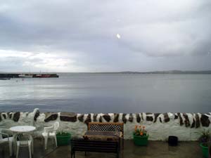 Dining Room����̕��i