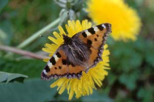 ���̉߂��䂭�܂܂�