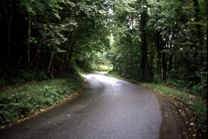 �������֑�����