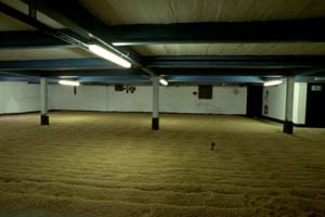 Malting Floor