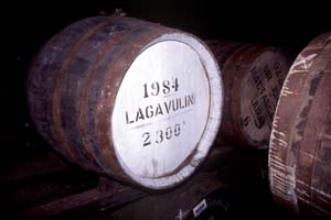 �������܏n����