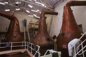 �y���L�h��ւ�����Still House