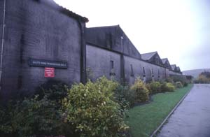 �E�F�A�n�E�X�Q