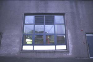 �X�e�B���n�E�X