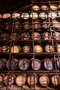 �E�F�A�n�E�X