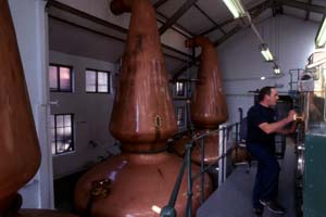 Spirit Safe�𑀍삷��Stillman