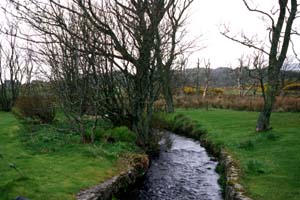 Lagavulin Distillery
