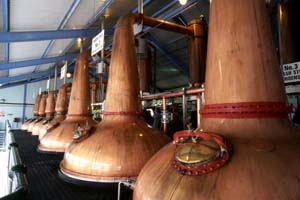 Pot Still