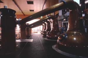 �X�s���b�g�X�e�B��