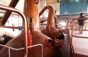 �E�H�b�V���X�e�B��