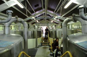 �E�H�b�V���o�b�N