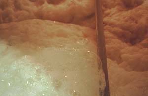 �������ܔ��y��