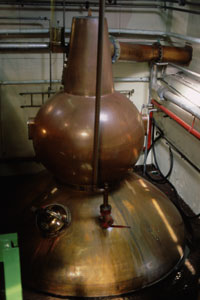Pot Still