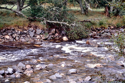 Speyside���������𗬂���