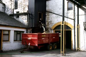 Springbank Distillery