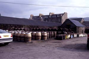 Springbank Distillery