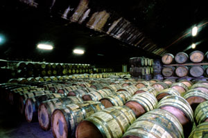 Whisky Cask in Ware House