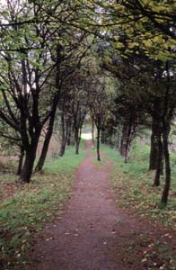 Speyside Way�̓����