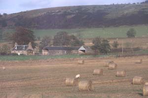 Scotland�̎ԑ�����