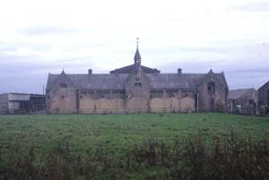 ���̌�����i�F