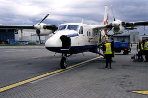 ��`�ɖ�������