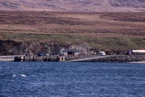 �D���猩��Feolin