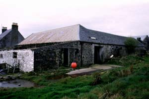 �������ՂƎv���錚��