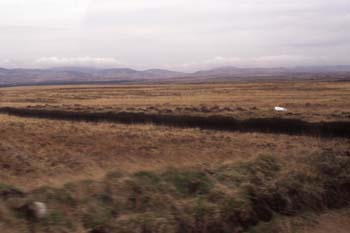 ��`�߂���Peat�̎��