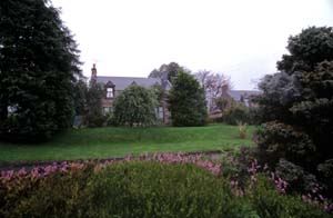 �E�F�A�n�E�X