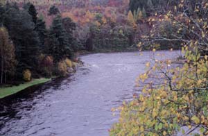 Keith�̒�����