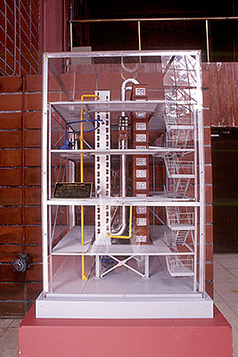 ���{�鋬�������̃R�t�B�[�X�e�B���̖͌^