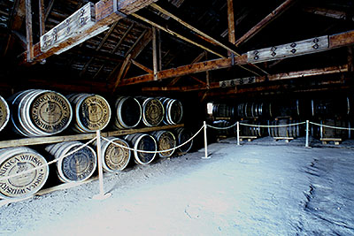 1���E�F�A�n�E�X